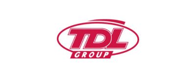 Logo Tempoteam Sjabloon